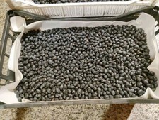 Bacche di mirto per liquore